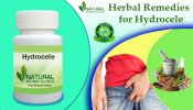 Herbal Supplement for Hydrocele.jpeg