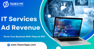 IT Services Ad Revenue (6).png