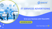 IT Services Advertising (8).png