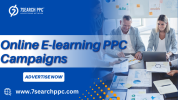 Online E-learning PPC Campaigns .png