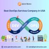 Best DevOps Services Company in USA.jpg