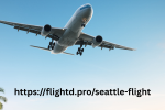 httpsflightd.proseattle-flight.png