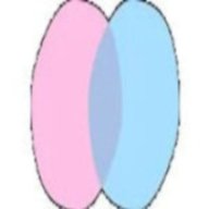 chatdansk